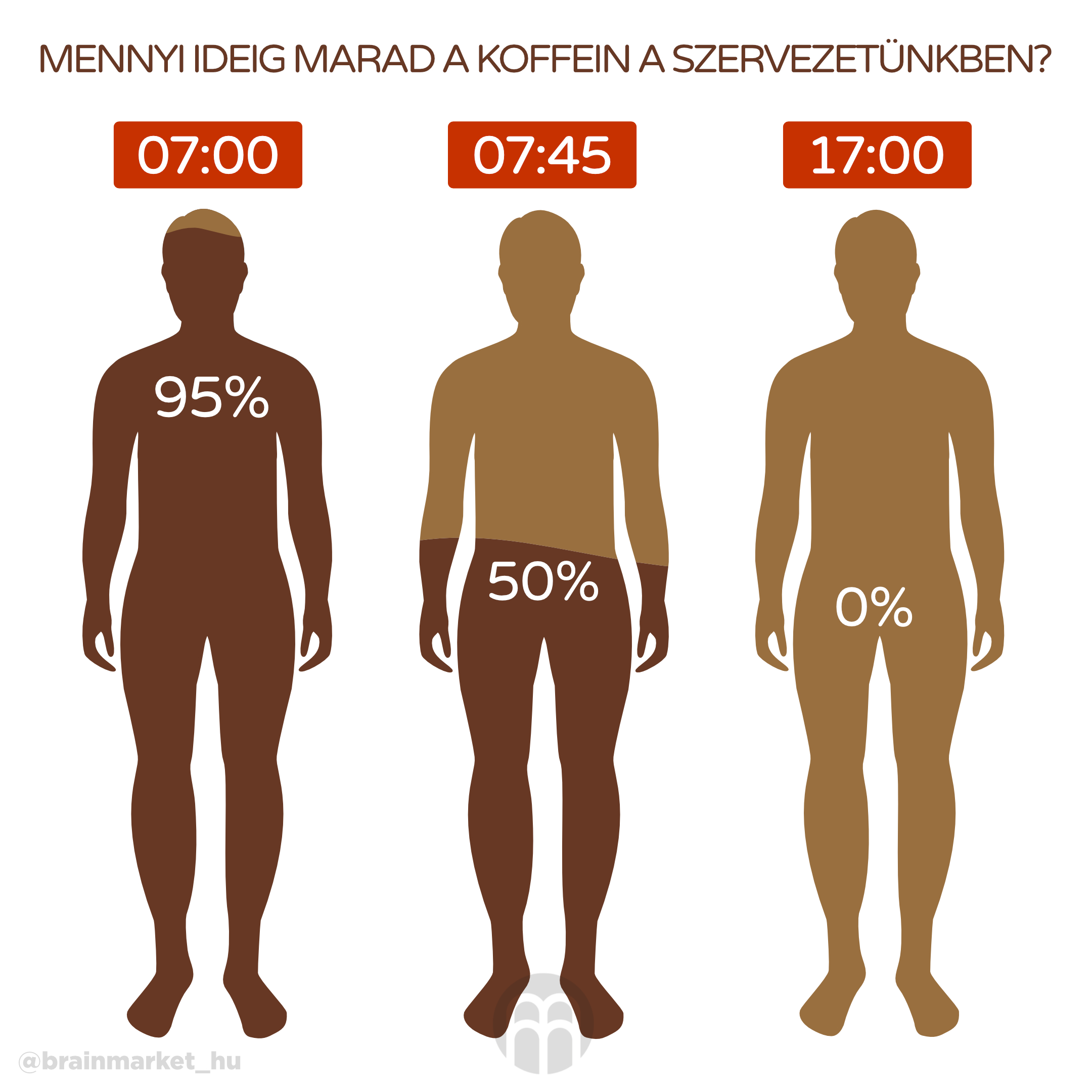 Body level_inforgafika_hu